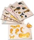 EDUPLAY Magnetspiel, Motiv: Bauernhoftiere