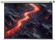 celexon Motorleinwand Professional, Gr&ouml;&szlig;e: 154 x 116 cm