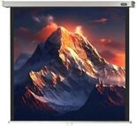 celexon Leinwand &bdquo;Professional&ldquo;, Format: 1:1, Gr&ouml;&szlig;e: 290 x 290 cm