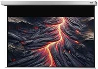 celexon Motorleinwand Professional Plus, Gr&ouml;&szlig;e: 300 x 169 cm