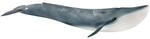 schleich&reg; Blauwal