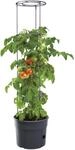 Prosperplast Tomaten-Pflanztopf