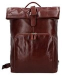 Picard Buddy Daypack Leder 42 cm Laptopfach braun TAS048604