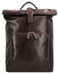 Picard Buddy Daypack Leder 42 cm Laptopfach braun TAS048603