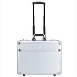 Alumaxx 2-Rollen Pilotenkoffer 48 cm Laptopfach silberfarben 45122