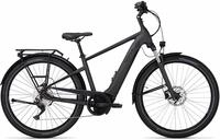 PEGASUS Savino Evo 10 CX - 28 Zoll 625Wh 10K Diamant - grey matt