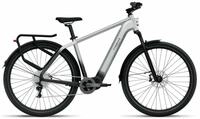 Tenways AGO-X - 29 Zoll 504Wh 10K Diamant - Gradient Silver