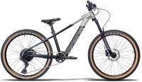Eightshot LOAMER 24 - 24 Zoll 250Wh 10K Diamant - black grey