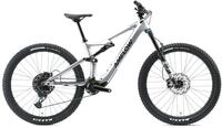 Amflow PL Carbon - 29 Zoll 800Wh 12K Fully - Satinsilber