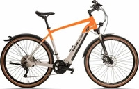 Bulls 656-40945, BULLS Cross Rider EVO 1 - 29 Zoll 625Wh 10K Diamant - light