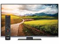 TenHaaft 10046441, TenHaaft Oyster Smart TFT-LED-TV 19 " (50cm), DVB-S2/T2,...