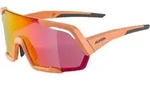 Alpina ROCKET Q-LITE - Sportbrille - orange - STK