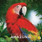 Strohmann Games Life of the Amazonia