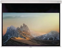 celexon 19739, celexon DELUXX Advanced Rolloleinwand Slowmotion 16:9 Mattweiss Polaro