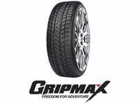 Gripmax Status PRO Winter 3PMSF XL 225/45 R1996V Winterreifen, Kraftstoffeffizienz: