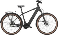 Bergamont 4236390135008, Bergamont E-Horizon SUV 20 Belt E-Bike Trekking Pedelec matt