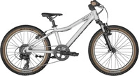 Scott 290748222, Scott Scale 20'' Kinder MTB Fahrrad silberfarben 2024 Unisex