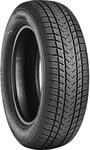 GRIPMAX SUREGRIP EWINTER 205/65R17 100V XL BSW