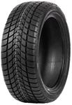 DELINTE WINTER WD1 185/65R14 86H BSW