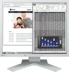 EIZO S1934H-GY, EIZO FlexScan S1934H - LED-Monitor - 48 cm (19") (S1934H-GY)