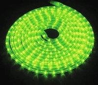 Licht Produkte LED Flexilight gr&uuml;n 9 m