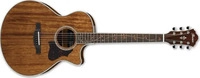 Ibanez AE245-NT Elektro Akustik Gitarre Natural