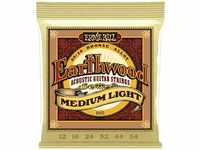 Ernie Ball Earth Wood Bronze Medium Light .012-.054 Akustik Gitarren-Saiten Satz