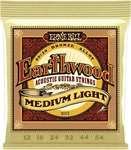 Ernie Ball Earth Wood Bronze Medium Light .012-.054 Akustik Gitarren-Saiten Satz
