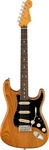 Fender American Professional II Stratocaster, Rosewood Griffbrett, Roasted Pine