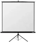 Reflecta Crystal Line 160x160 cm Stativ Leinwand