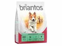 4x1kg Adult Lamm & Reis Briantos Hundefutter trocken