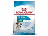 8kg Puppy Mini Royal Canin Hundefutter trocken