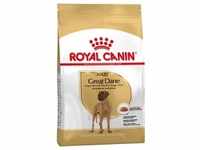 12kg Adult Great Dane Royal Canin Hundefutter trocken