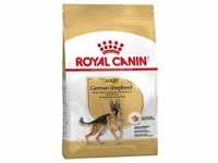 11kg Adult German Shepherd Royal Canin Breed Hundefutter trocken