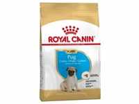 1,5kg Puppy Pug Royal Canin Breed Hundefutter trocken