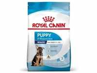 10kg Puppy Maxi Royal Canin Hundefutter trocken