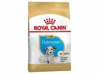 12kg Puppy Dalmatian Royal Canin Breed Hundefutter trocken