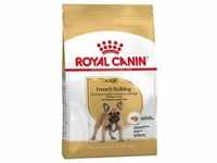 3kg Adult French Bulldog Royal Canin Hundefutter trocken