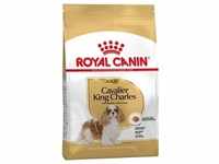 7,5kg Cavalier King Charles Adult Royal Canin Hundefutter trocken