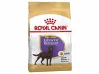 12kg Labrador Retriever Sterilised Adult Royal Canin Hundefutter trocken