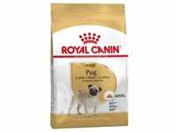 3kg Adult Pug Royal Canin Hundefutter trocken