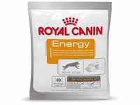 10 x 50 g Royal Canin Energy Belohnungssnack