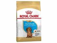 1,5kg Puppy Dachshund Royal Canin Breed Hundefutter trocken