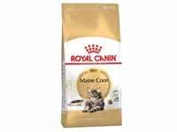 10kg Adult Maine Coon Royal Canin Katzenfutter trocken