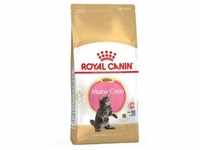 4kg Maine Coon Kitten Royal Canin Katzenfutter trocken
