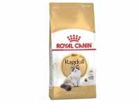 2kg Adult Ragdoll Royal Canin Katzenfutter trocken