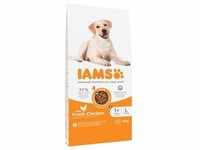 12kg Advanced Nutrition Adult Large Dog mit Huhn IAMS Hundefutter trocken
