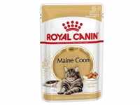 12 x 85g Royal Canin Maine Coon Nassfutter für Katzen
