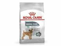 8kg CCN Dental Care Mini Royal Canin Hundefutter trocken
