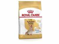 1,5 kg Royal Canin Yorkshire Terrier Adult 8+ Trockenfutter Hund